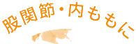 股関節・内ももに