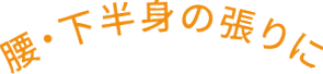 腰・下半身の張りに